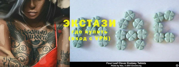 ECSTASY Богданович