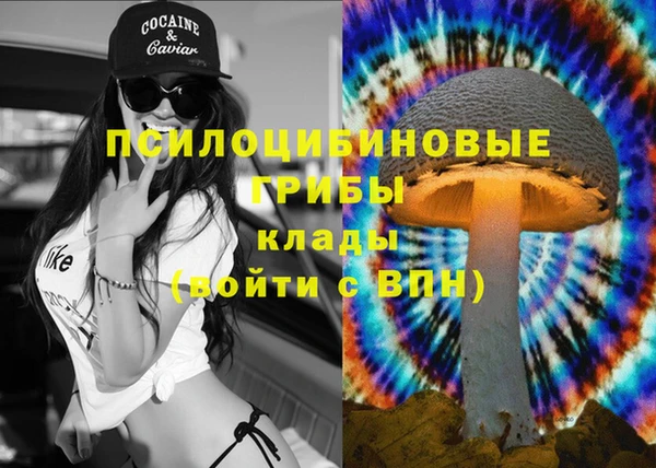 2c-b Бронницы