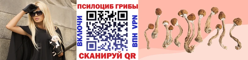 Псилоцибиновые грибы ЛСД  хочу   Гаджиево 